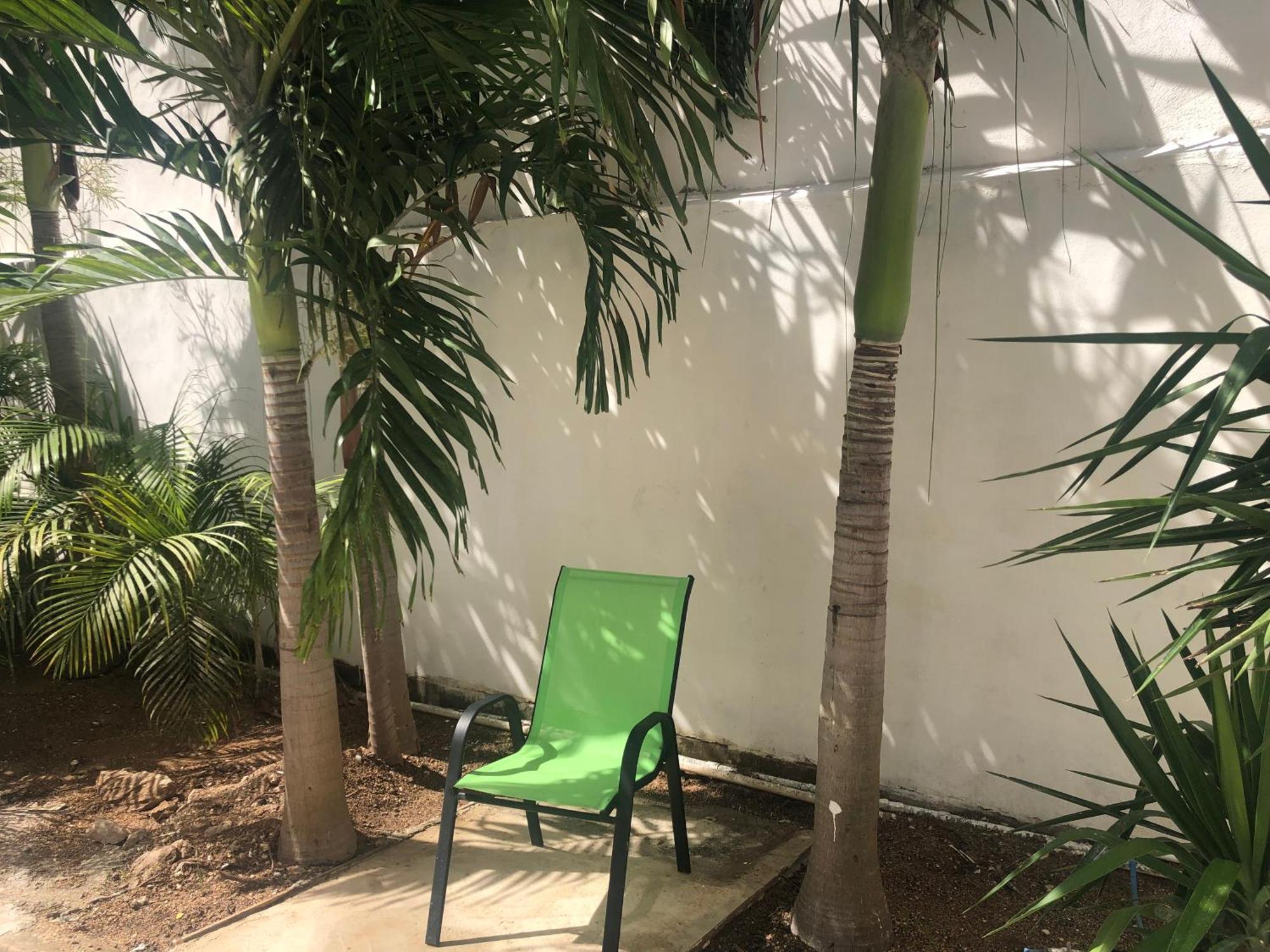 Studios Playa Playa del Carmen Zewnętrze zdjęcie
